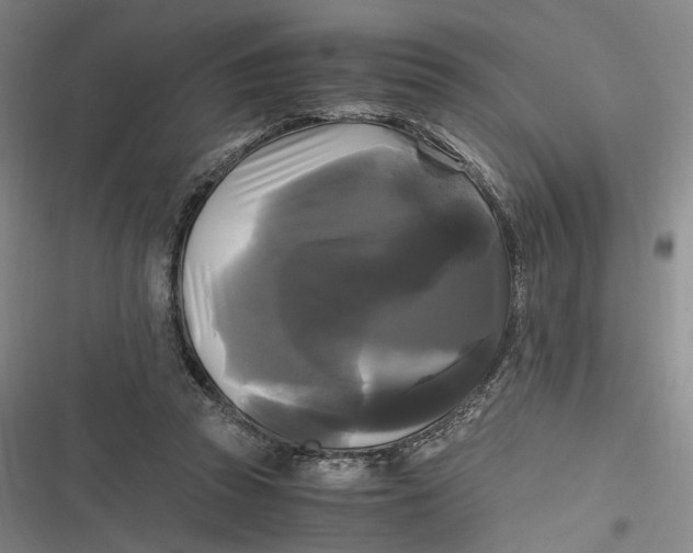 X0000116800353201001081339