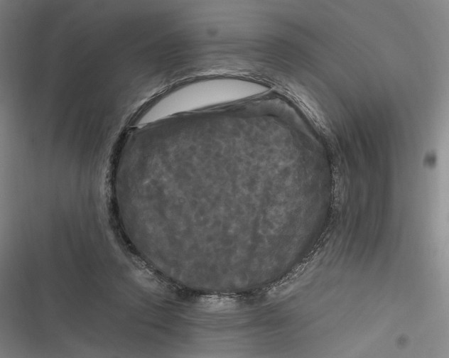 X0000116800354201001081339