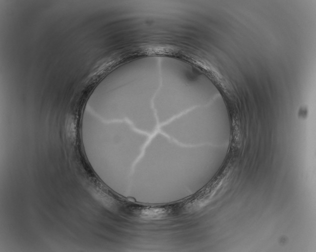 X0000116800357201001081339