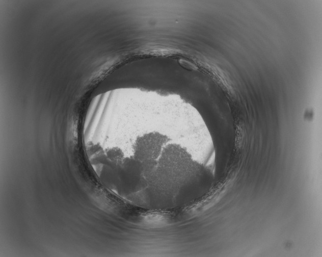 X0000116800358201001081339