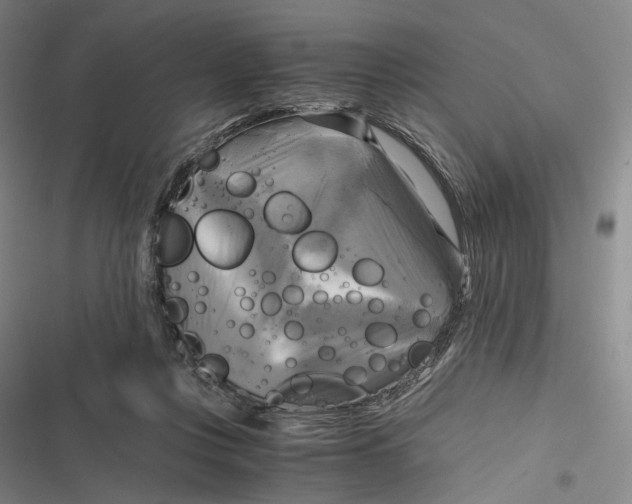 X0000116800359201001081339