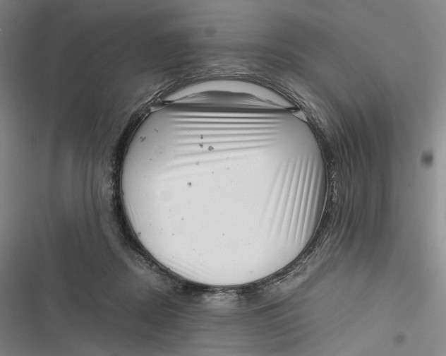 X0000116800362201001081339