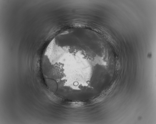 X0000116800363201001081339