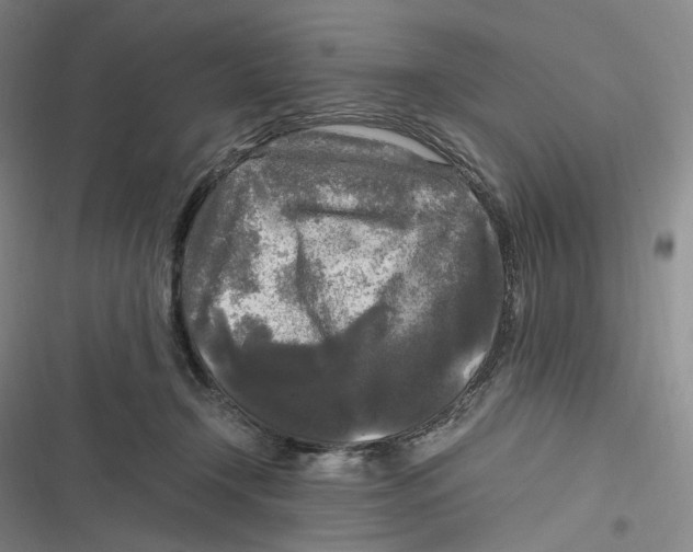 X0000116800366201001081339