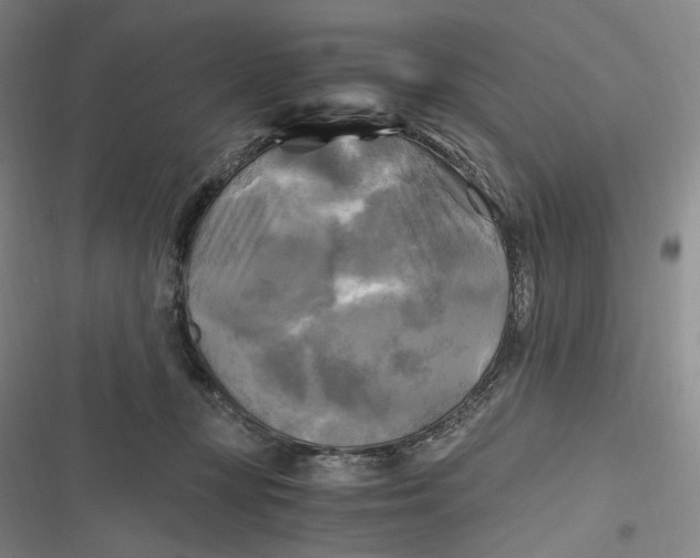 X0000116800367201001081339