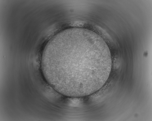 X0000116800370201001081339