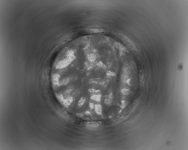 X0000116800373201001081339