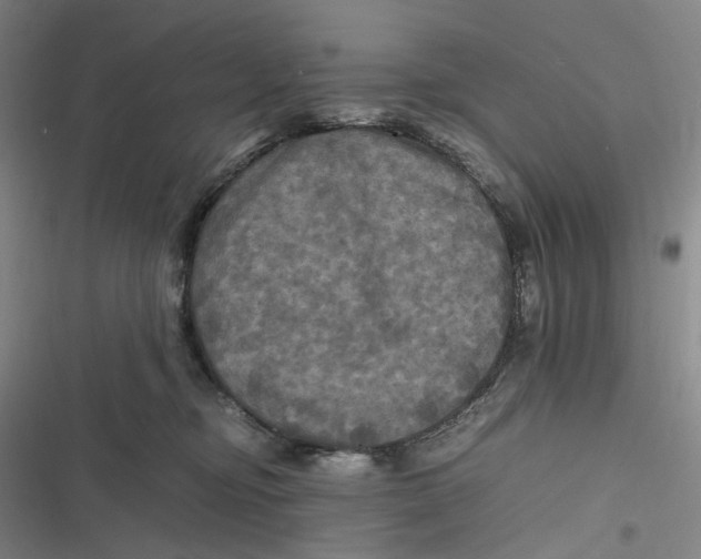 X0000116800374201001081339