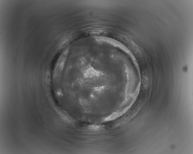 X0000116800375201001081339