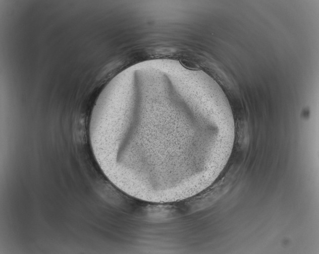 X0000116800378201001081339