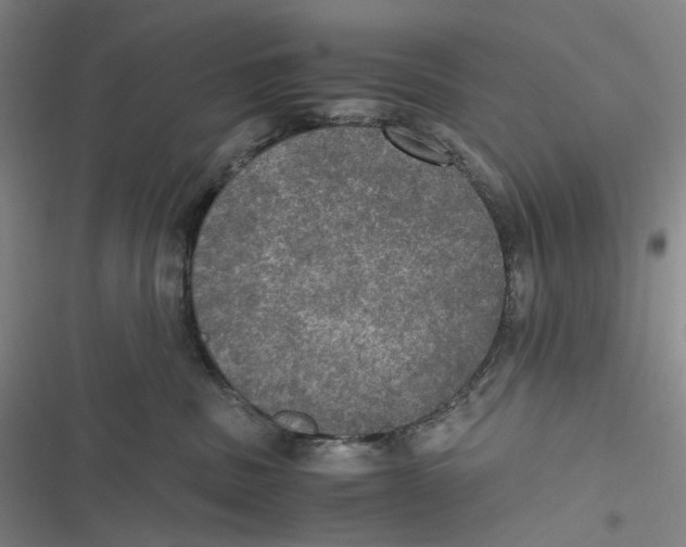 X0000116800379201001081339