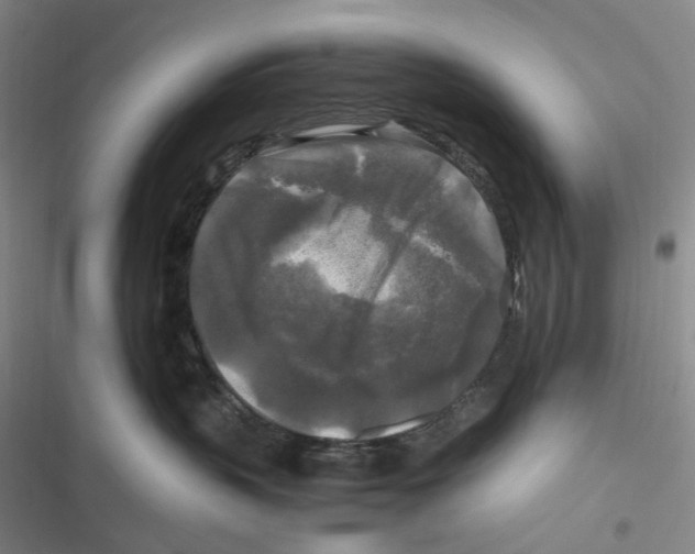 X0000116800383201001081339