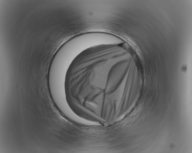 X0000116800385201001081339