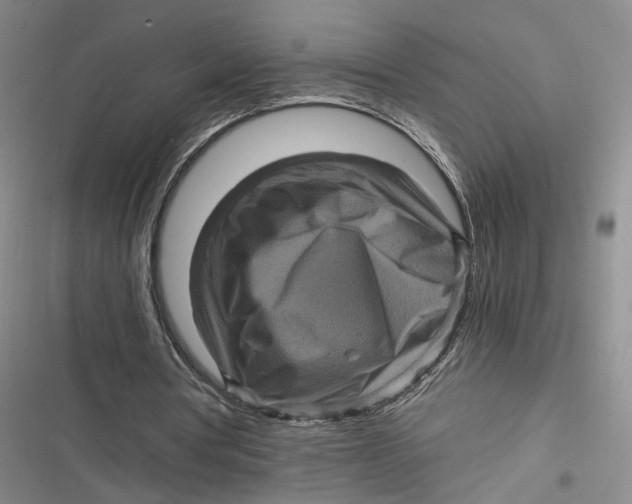 X0000116800386201001081339