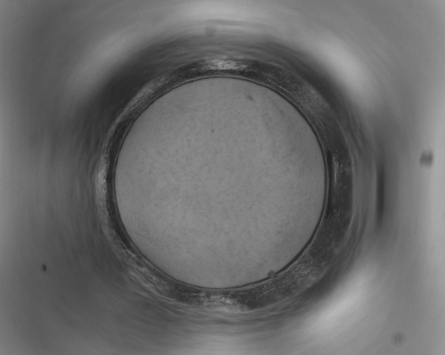 X0000116800387201001081339