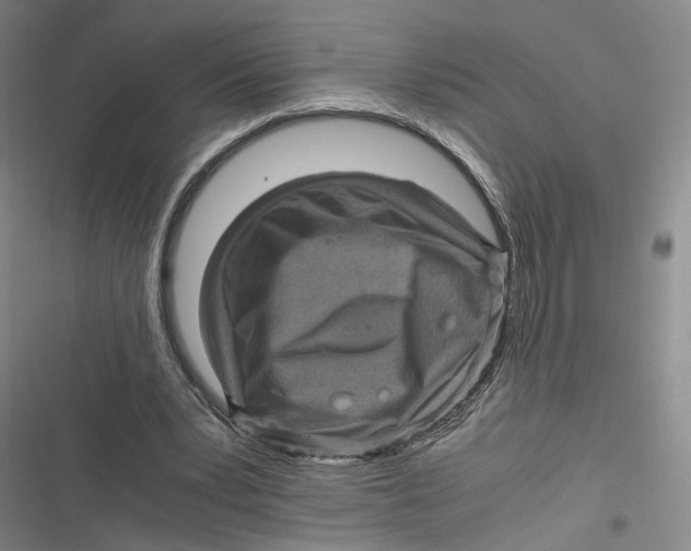 X0000116800391201001081339