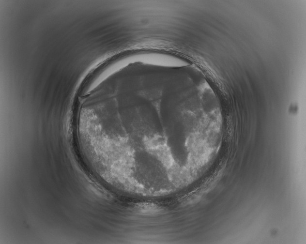 X0000116800392201001081339
