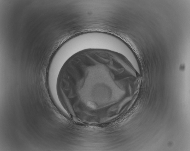 X0000116800393201001081339