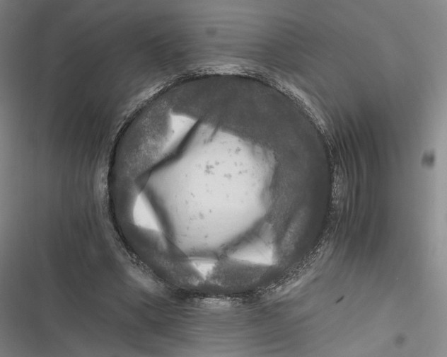 X0000116800394201001081339