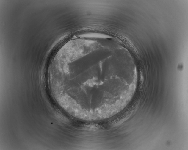 X0000116800396201001081339