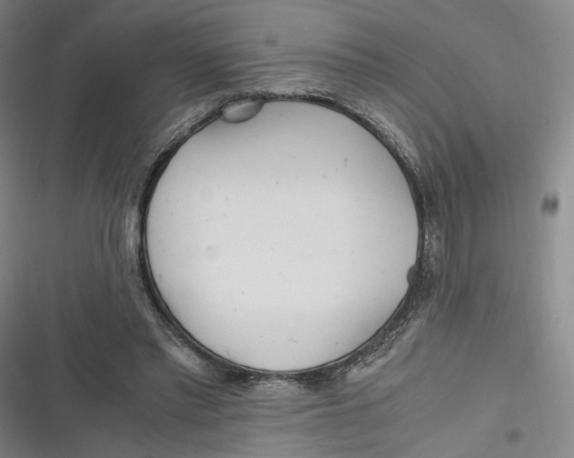 X0000116800397201001081339