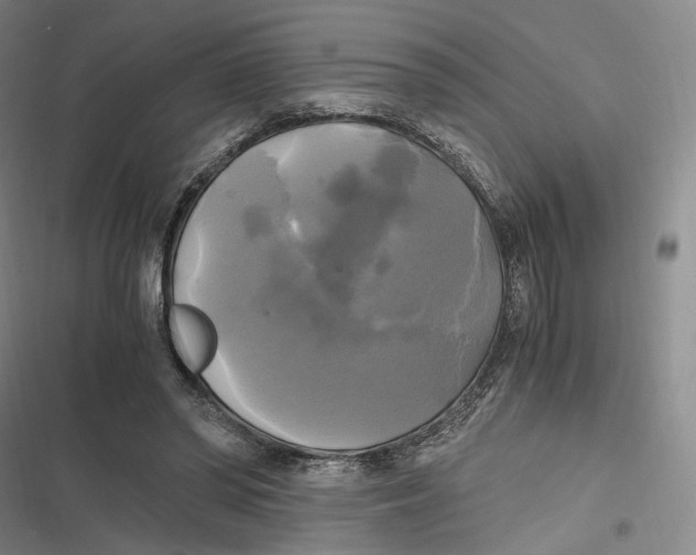 X0000116800398201001081339