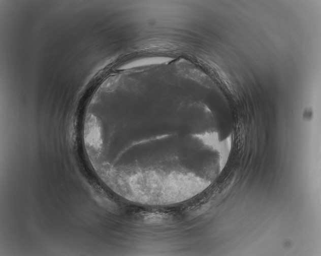 X0000116800400201001081339