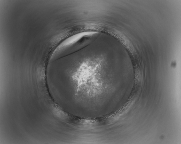 X0000116800401201001081339