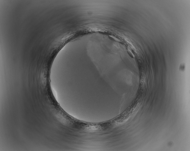 X0000116800402201001081339