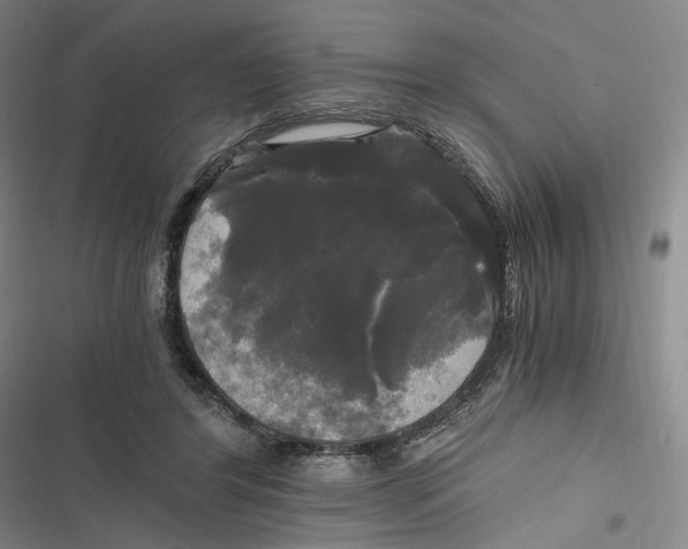 X0000116800404201001081339