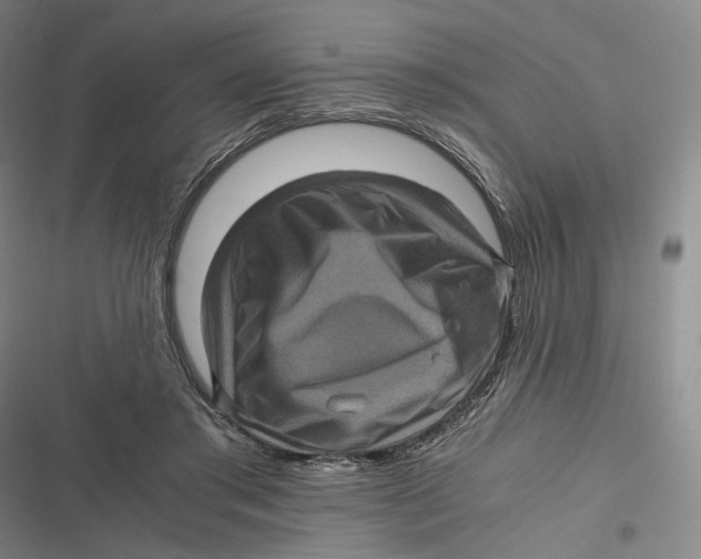 X0000116800405201001081338