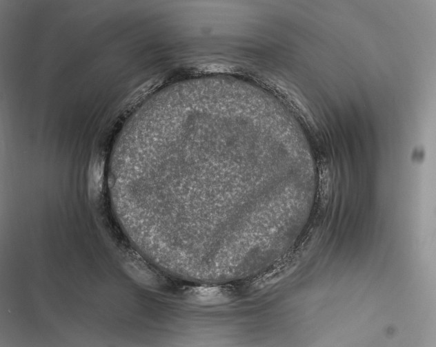 X0000116800406201001081338