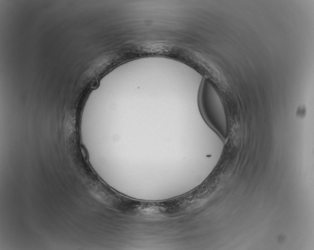 X0000116800407201001081338