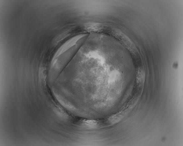 X0000116800409201001081338