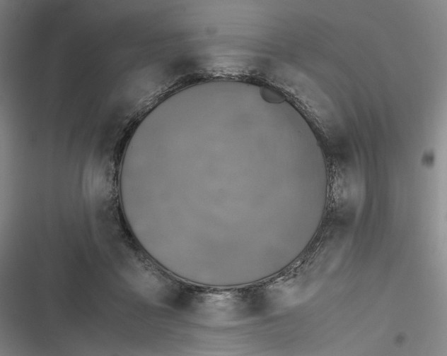 X0000116800411201001081338