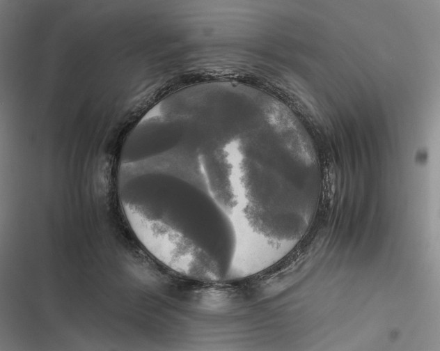 X0000116800412201001081338