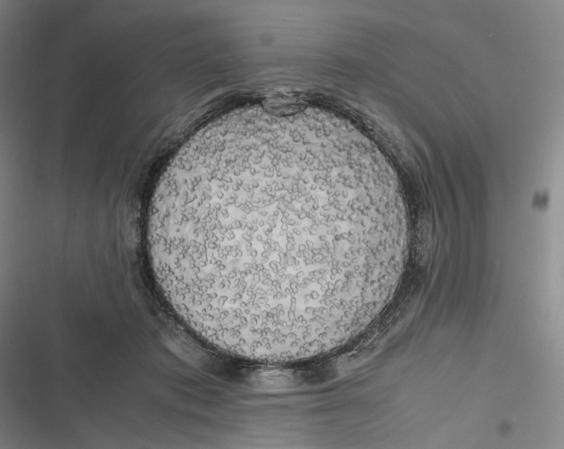 X0000116800413201001081338