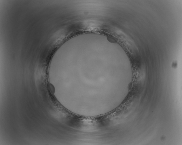 X0000116800415201001081338
