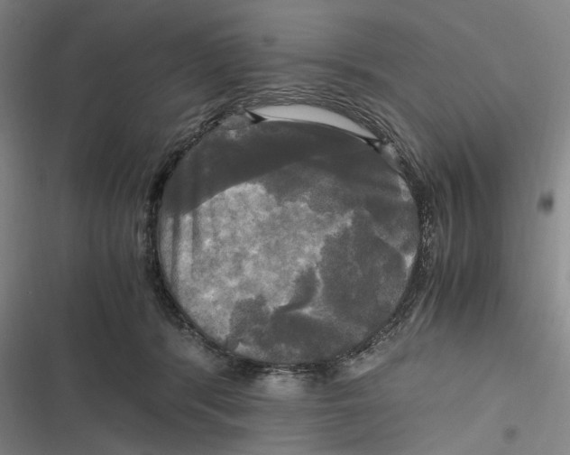 X0000116800416201001081338