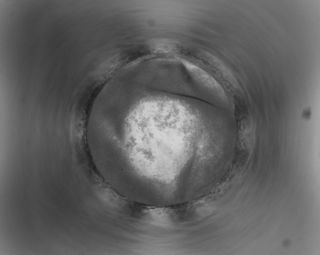 X0000116800417201001081338