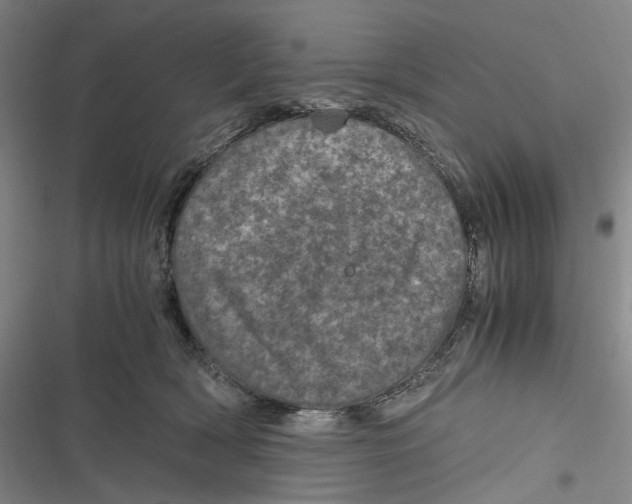 X0000116800418201001081338