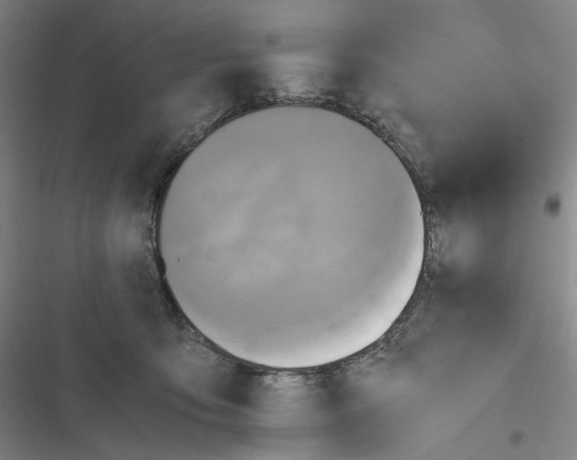X0000116800419201001081338