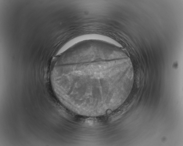 X0000116800420201001081338
