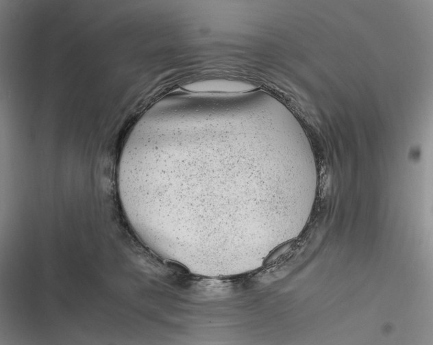 X0000116800421201001081338