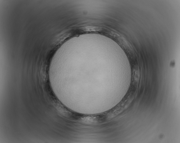 X0000116800422201001081338