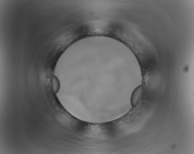 X0000116800423201001081338