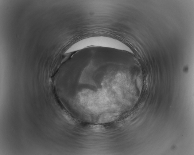 X0000116800424201001081338