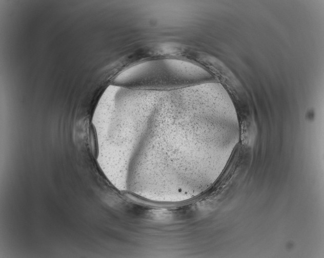 X0000116800425201001081338