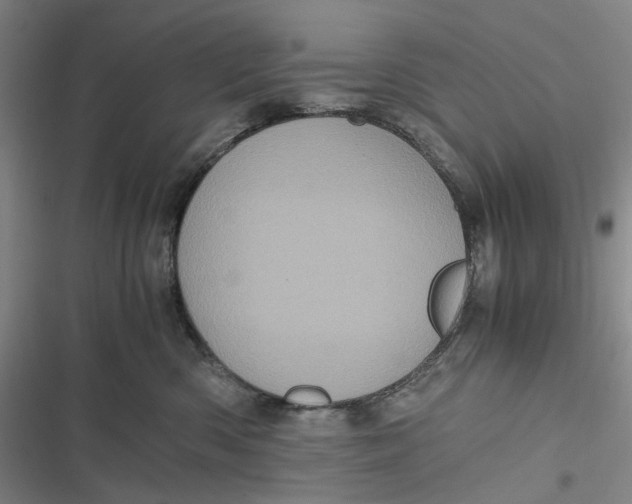 X0000116800426201001081338