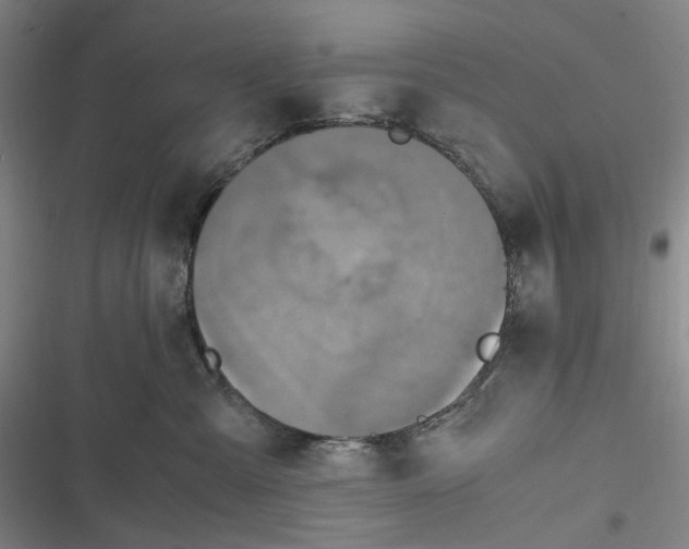X0000116800427201001081338